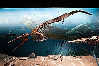 Capcom表示不会放弃生产实体版游戏 尽管90%的销量来自于数字版