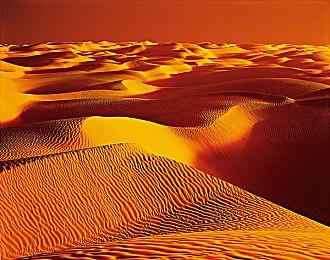 东京电玩展官方直播日程公布 《战地6》单人战役亮相