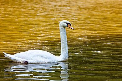 九年测试 《逃离塔科夫》Steam上线老玩家要重新买单